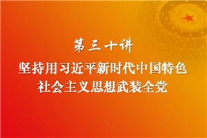 习近平新时代中国特色社会主义思想三十讲（第三十讲）