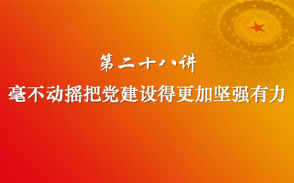 习近平新时代中国特色社会主义思想三十讲（第二十八讲）